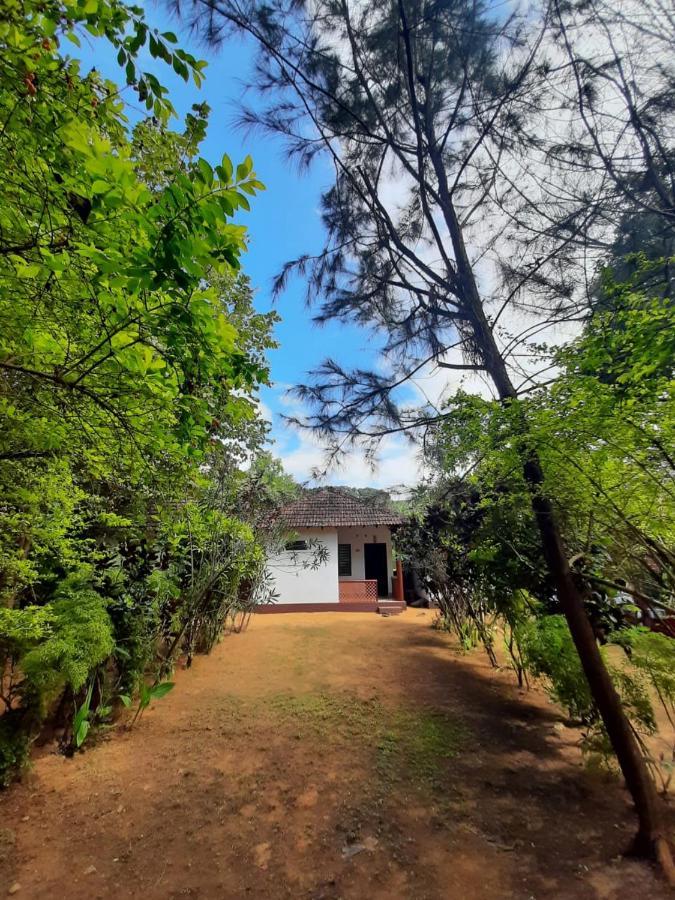 Tusker Tribe Hostel ゴカルナ エクステリア 写真