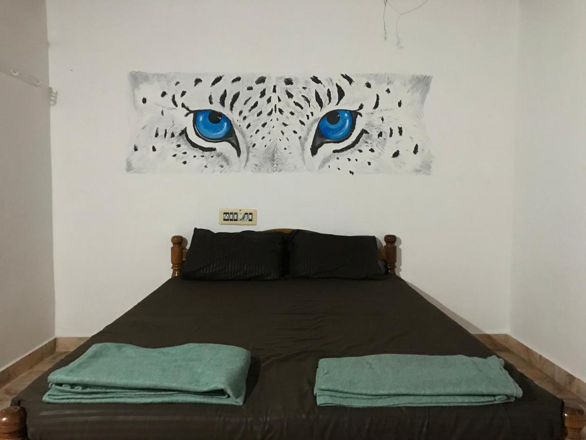 Tusker Tribe Hostel ゴカルナ エクステリア 写真