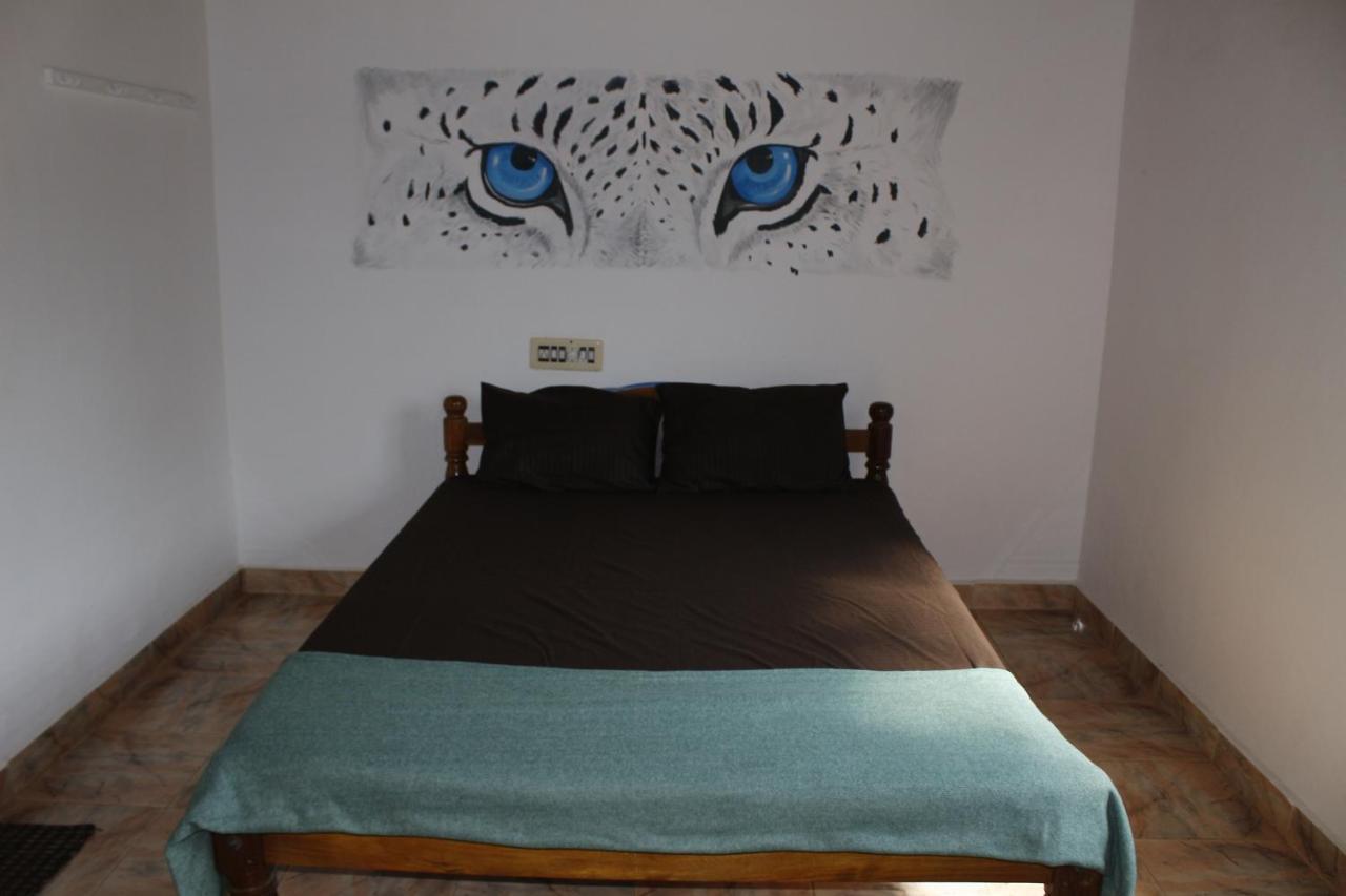 Tusker Tribe Hostel ゴカルナ エクステリア 写真