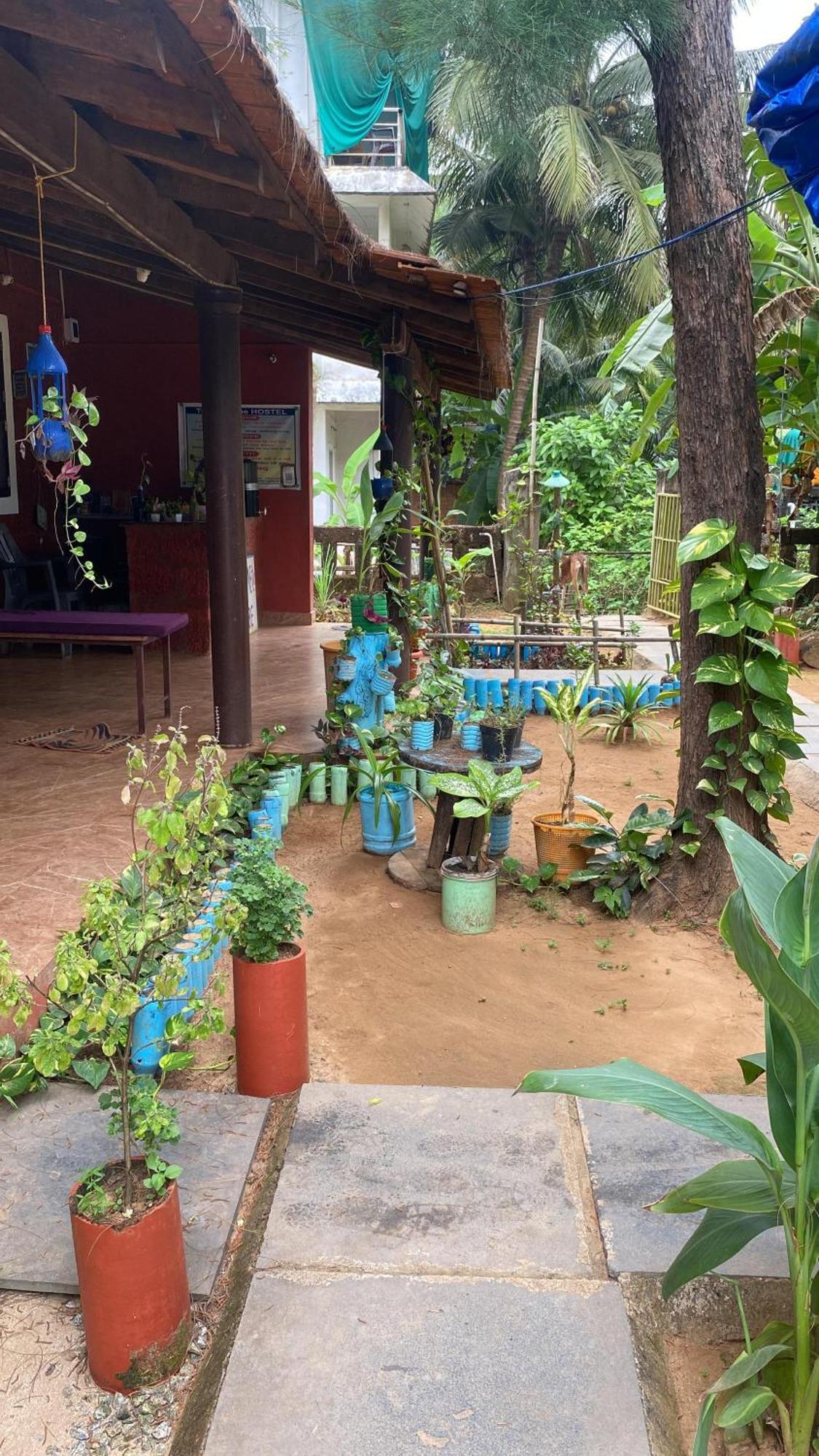 Tusker Tribe Hostel ゴカルナ エクステリア 写真